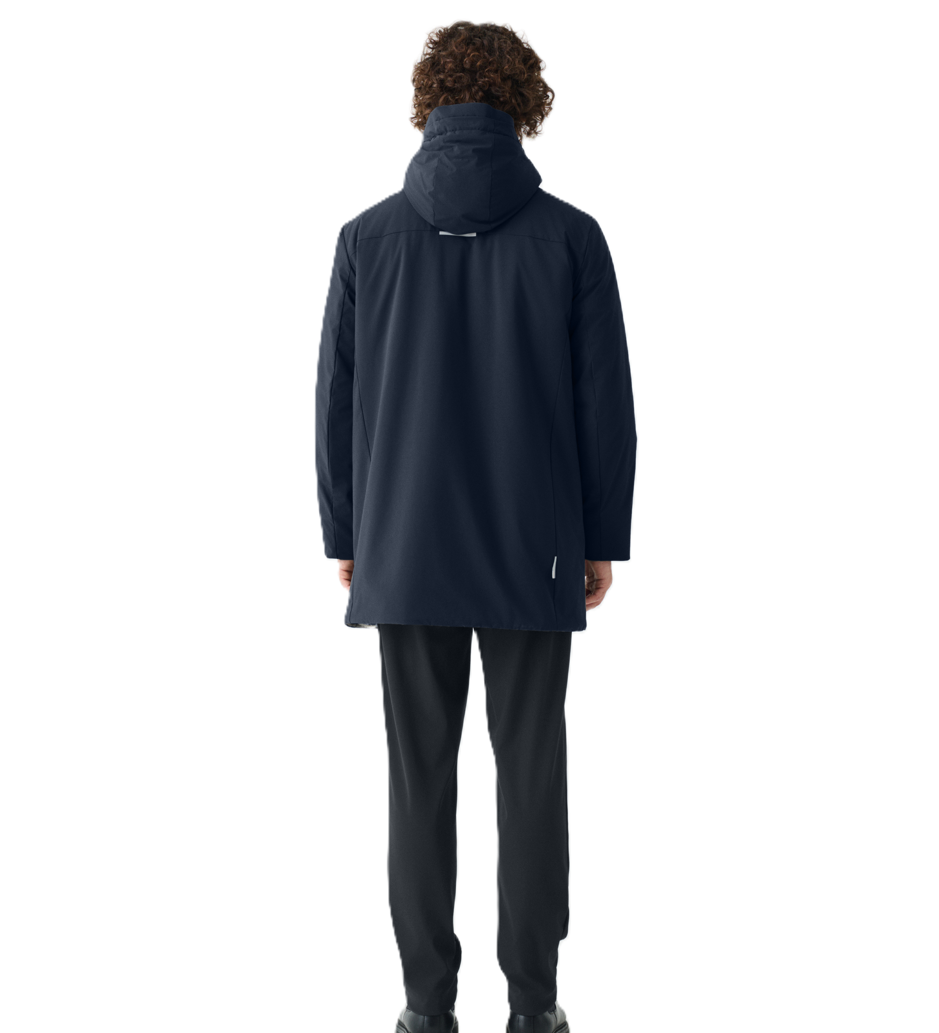 6ad341b168034.png